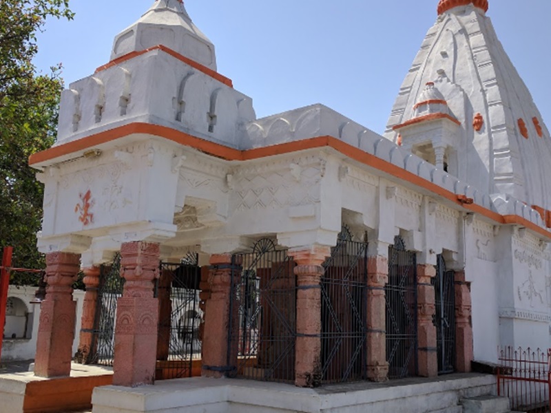 naidunia_image